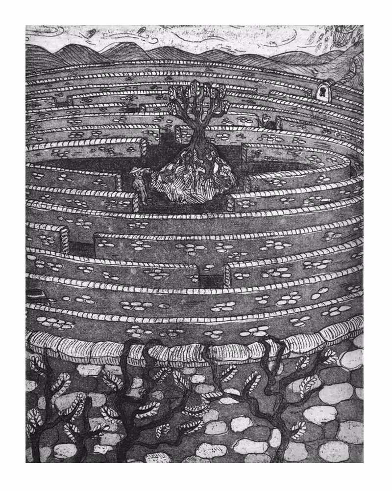 5. Confusion by Fernando Feijoo