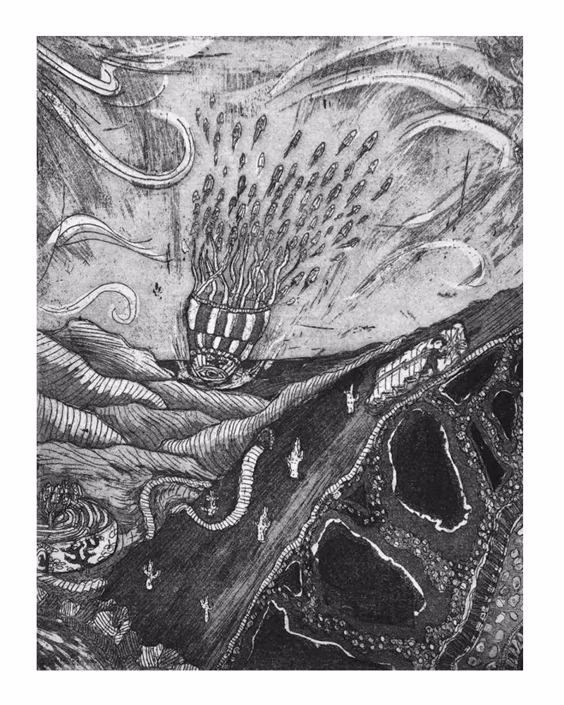 7. Ascent by Fernando Feijoo